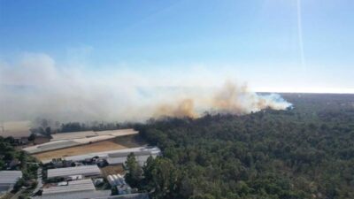 Kaş’ta çıkan yangın seralara sıçradı