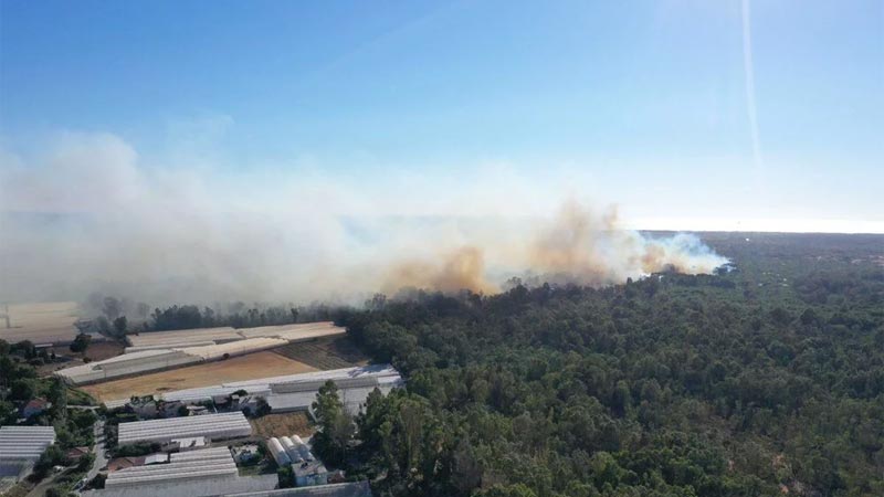 Kaş’ta çıkan yangın seralara sıçradı