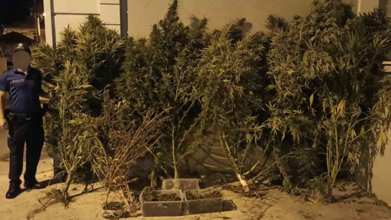 Bursa’da uyuşturucu operasyonu Bursa’nın İznik ilçesinde polis ekiplerinin bir eve düzenlediği operasyonda 8