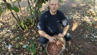 Bursa’daki köyü gören Karadeniz sanıyor…Yılda 60 ton fındık üretiyorlar