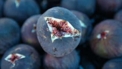 Bursa’da üreticilerin yüzü güldü!