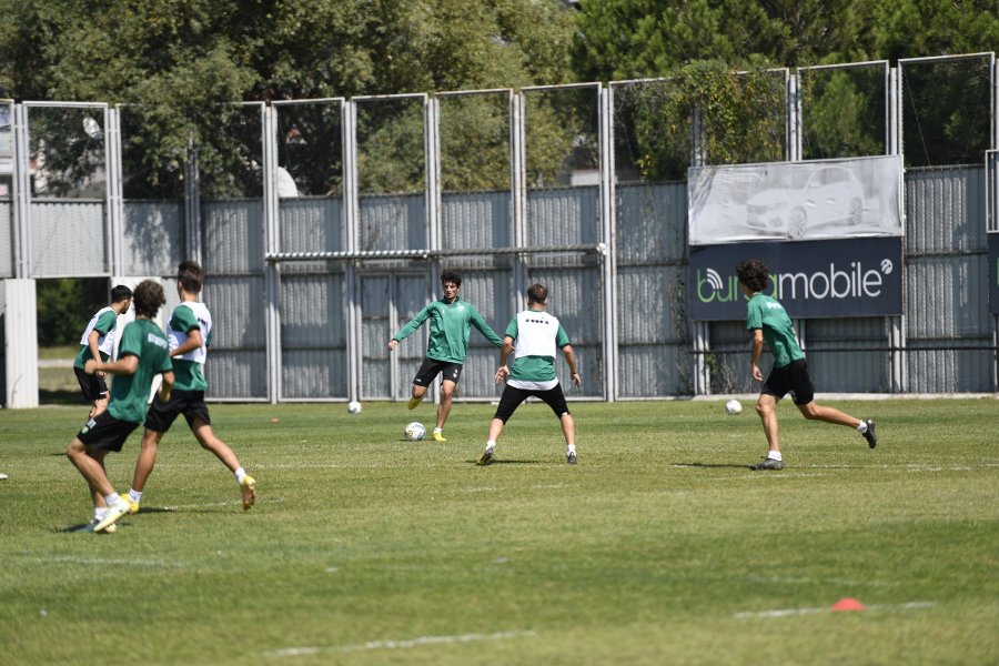 Timsah ara vermedi Timsah ara vermedi