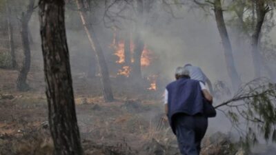 Hatay’da orman yangını