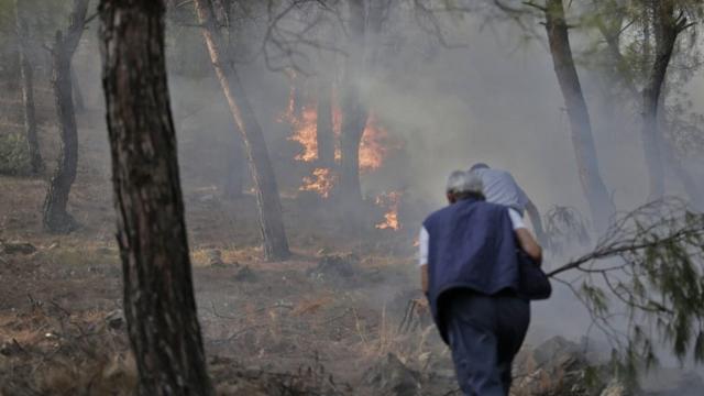 Hatay’da orman yangını