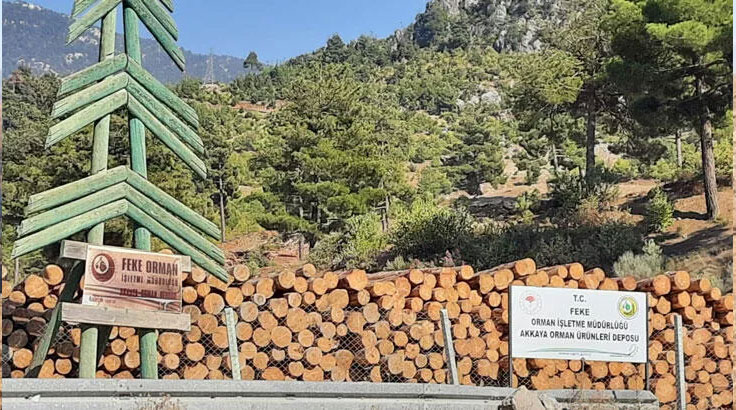 Taşıdığı tomrukların altında kalan orman işçisi, toprağa verildi