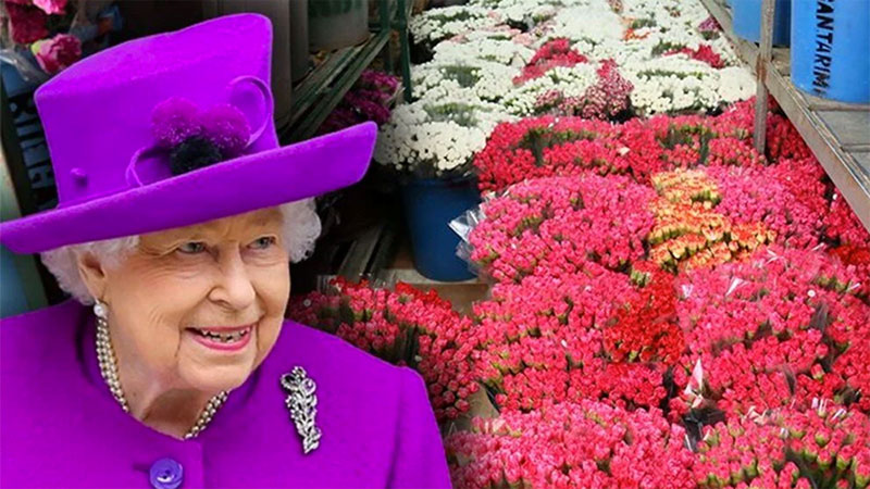 Türkiye’den 1,5 milyon karanfil! Uçakla sevkiyat başladı Türkiye’den 1,5 milyon karanfil! Uçakla sevkiyat başladı