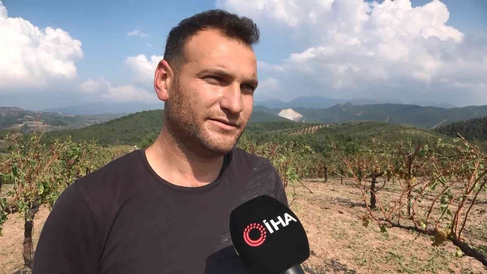 Bursa’da sağanak yağışla birlikte gelen dolu, çiftçinin mahsulünü vurdu