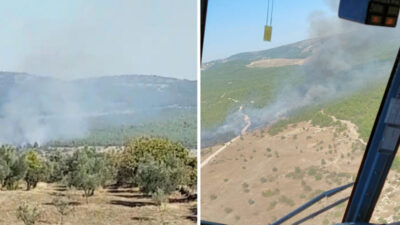 Manisa’da orman yangını