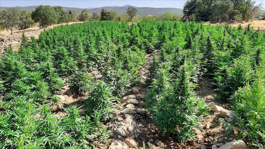 Terörün finans kaynağına darbe