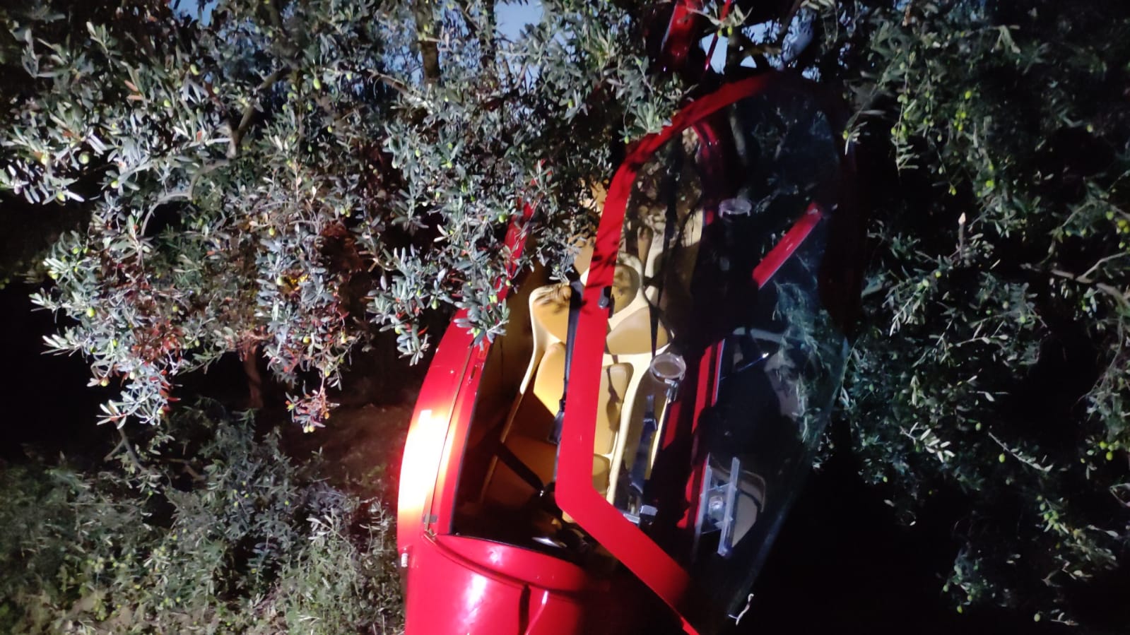 Bursa’da uçak kazası!