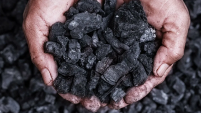 Karacabey TİGEM’den fındık kömürü alımı…