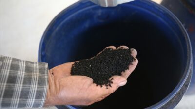 Bursa’da üretilen bu ürün ABD’nin gözdesi!