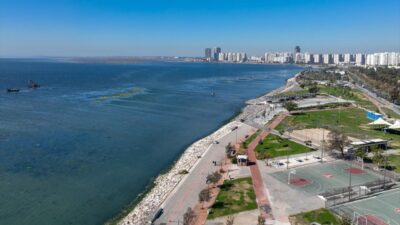 Sahil yeşile büründü! İşte nedeni