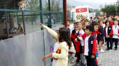 İnegöl Belediyesi Barınağı can dostlarına şifa oluyor