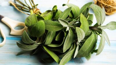 Her gün 1 fincan içen tığ gibi kalıyor!