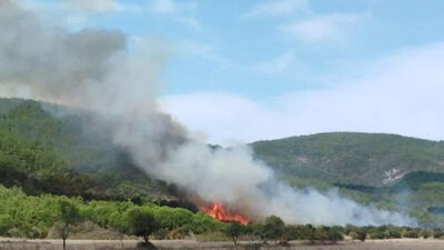 Çanakkale’de orman yangını