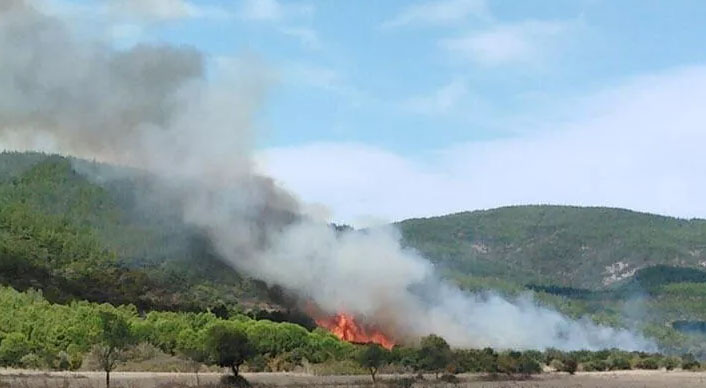 Çanakkale’de orman yangını Çanakkale’de orman yangını