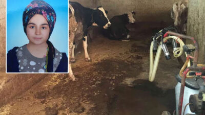 Kız çocuğu ahırda feci şekilde can verdi! Çığlıklarına uyandılar