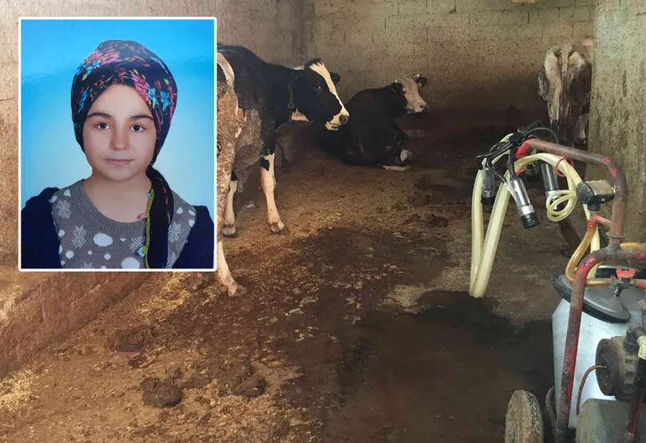 Kız çocuğu ahırda feci şekilde can verdi! Çığlıklarına uyandılar Kız çocuğu ahırda feci şekilde can verdi! Çığlıklarına uyandılar