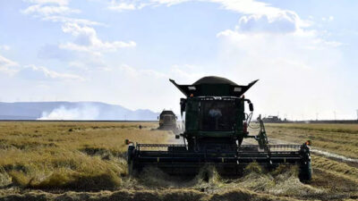 Bakan Kirişci: Çeltikte alım fiyatını ton başına 1000 lira artırıyoruz