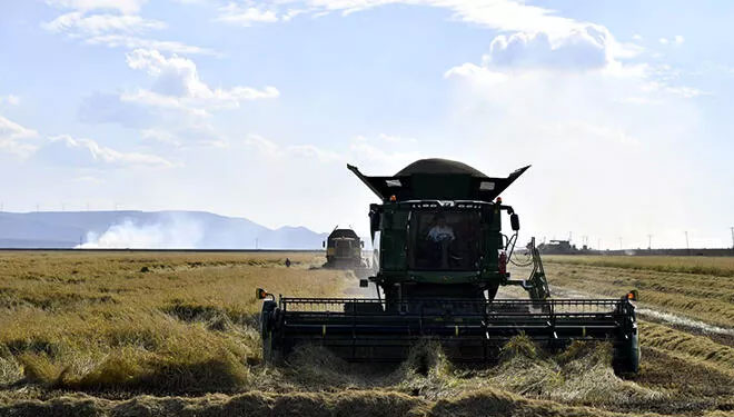 Bakan Kirişci: Çeltikte alım fiyatını ton başına 1000 lira artırıyoruz