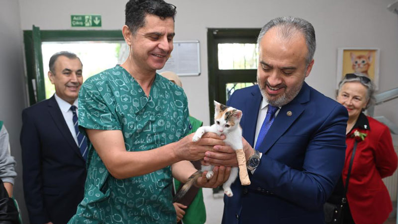 Başkan Aktaş, 4 aylık kediyi sahiplendi