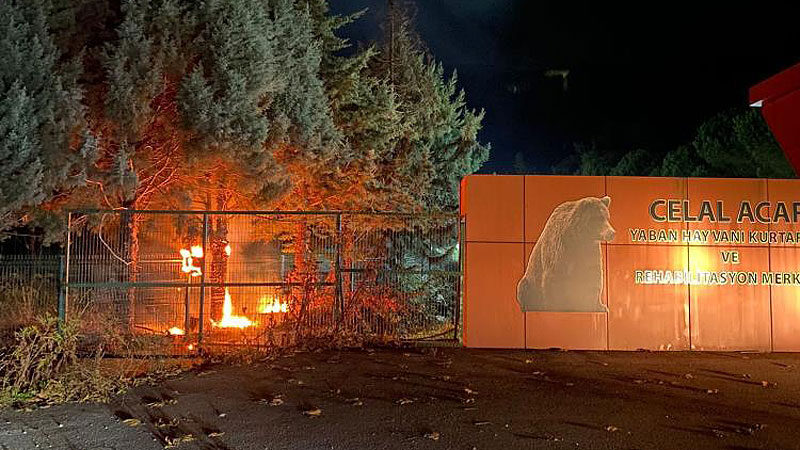 Bursa’da korkutan yangın Bursa’nın Karacabey ilçesinde bulunan Ovakorusu Celal Acar Yaban Hayvanları Kurtarma