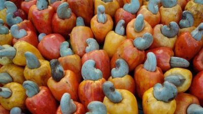 Kalp, kolesterol ve tansiyona…