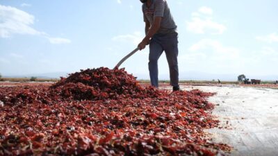 Mustafakemalpaşa dünya mutfaklarında