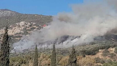 Aydın’da makilik yangını