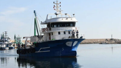 Palamut bolluğu yaşanan Karadeniz’de balıkçıların mayın endişesi