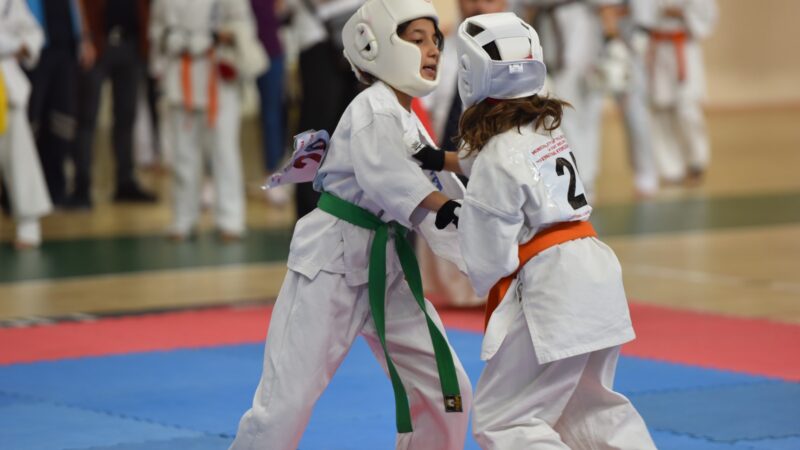 Yıldırım’da karate rüzgarı Yıldırım Belediyesi, 2. Esat Delihasan Kyokushın Karate Kupası düzenledi.