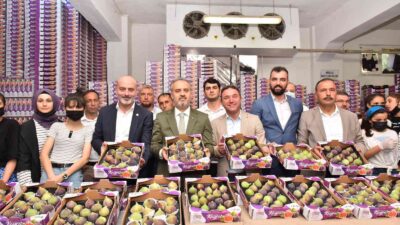 Bursa’da üreticiye can suyu! 879 bin TL’lik ödeme…