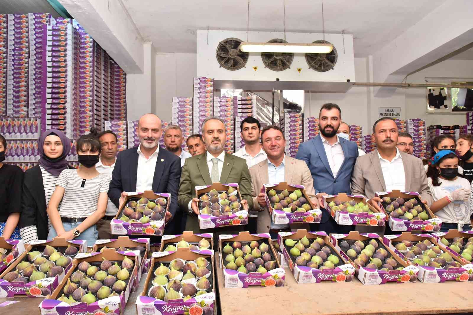 Bursa’da üreticiye can suyu! 879 bin TL’lik ödeme…