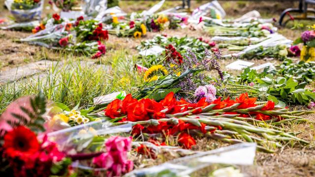 Enerji krizi Hollanda’daki seraları vurdu! Gıda ve çiçek üretimi düştü