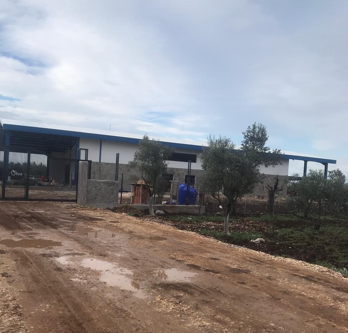 Bursa’da zeytinyağı fabrikası için mahkemeden yeni karar!