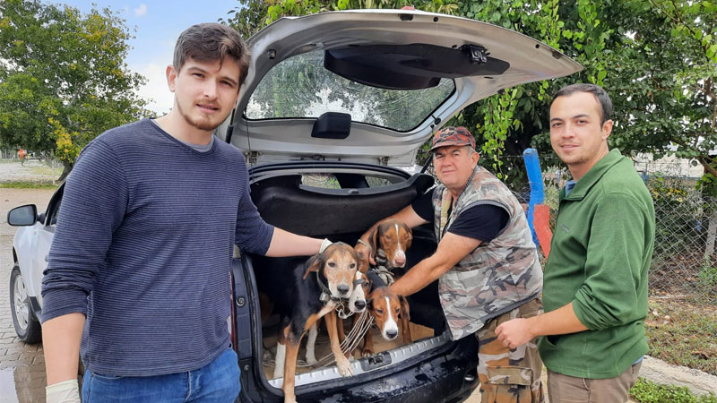 Mustafakemalpaşa Belediyesi’nden kuduz aşısı kampanyası Mustafakemalpaşa Belediyesi’nden kuduz aşısı kampanyası