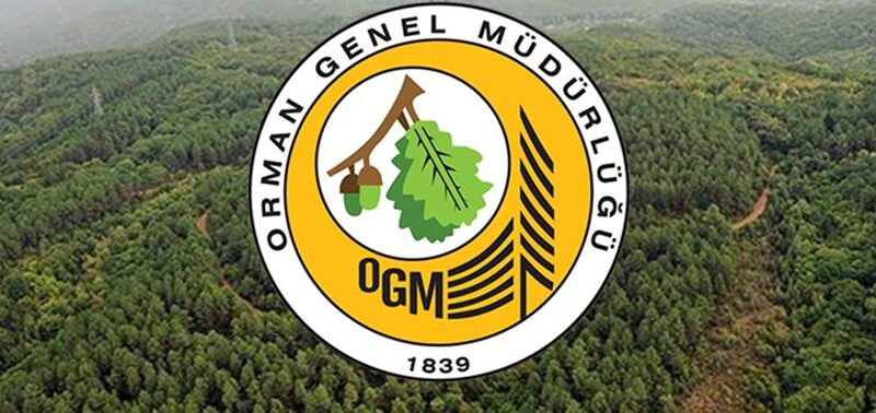 Karacabey Orman İşletme Müdürlüğü’nden hizmeti alımı… Karacabey Orman İşletme Müdürlüğü, danışmanlık hizmeti alacak...
