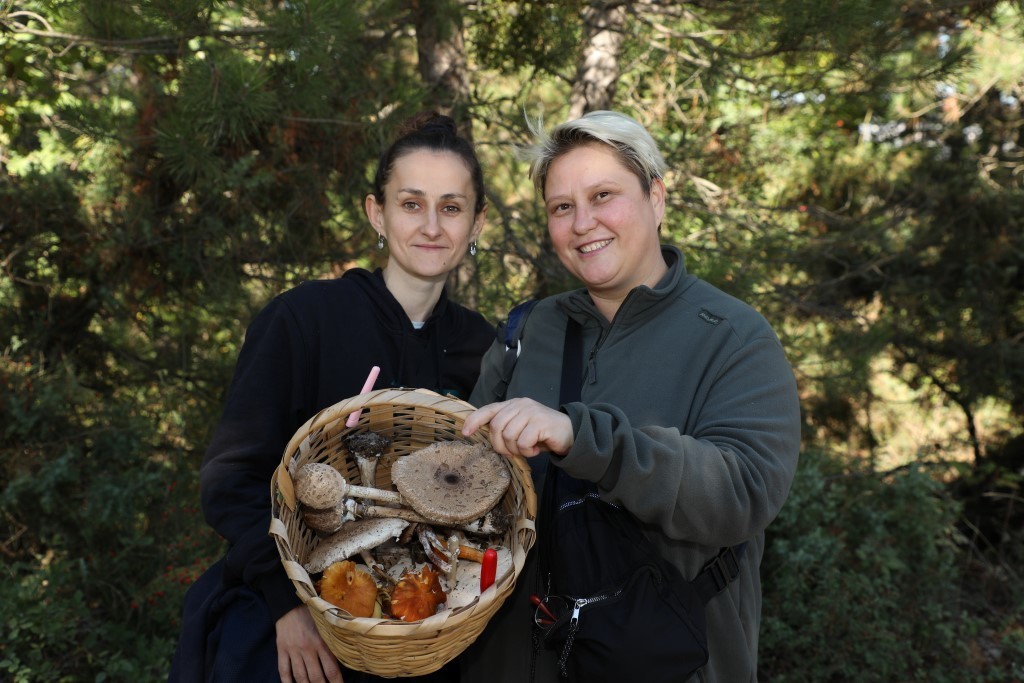 Türkiye’nin mantar avcıları Bursa’da buluştu Türkiye’nin mantar avcıları Bursa’da buluştu