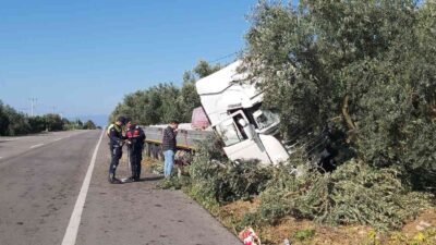 Bursa’da feci kaza! Zeytinliğe daldı