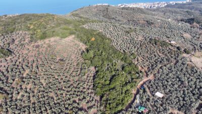 Mudanya belediyesi sokak hayvanları rehabilitasyon merkezi için ön izin aldı