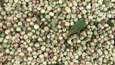 Damarlarda kolesterolden eser bırakmıyor!