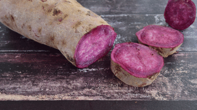 Kansere meydan okuyor!