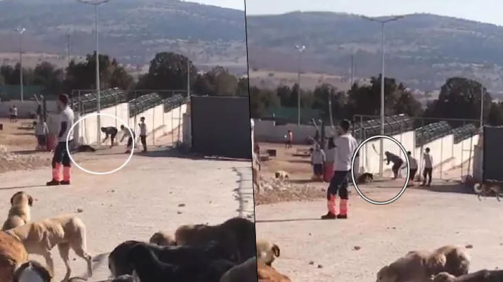 Türkiye’yi sarsan görüntü! Konya’daki vahşete 2 gözaltı