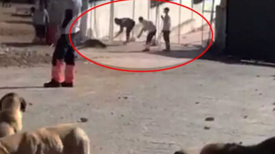 Konya’daki skandal görüntülerin ardından harekete geçildi