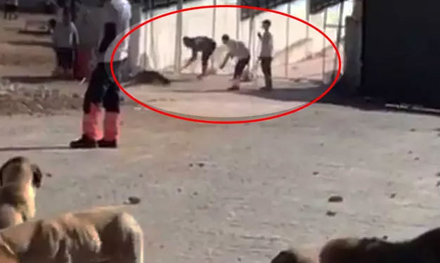 Konya’daki skandal görüntülerin ardından harekete geçildi