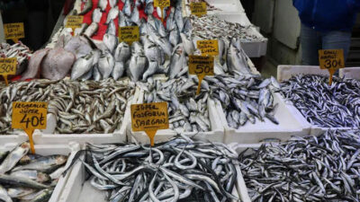 Havalar soğudu, balığa ilgi arttı