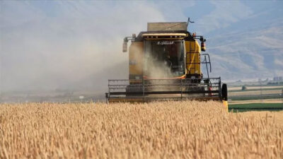 Milyonlarca çiftçiyi ilgilendiren haber! Tarım yatırımlarında destek tutarları artırıldı