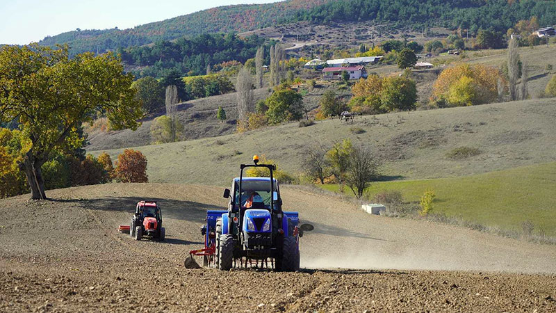 Ekmeği 1 liradan satan Kestel Belediyesi kendi buğdayını ekti