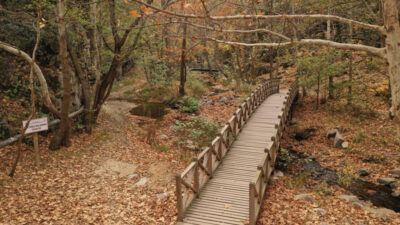 Sadağı’da sonbahar güzelliği